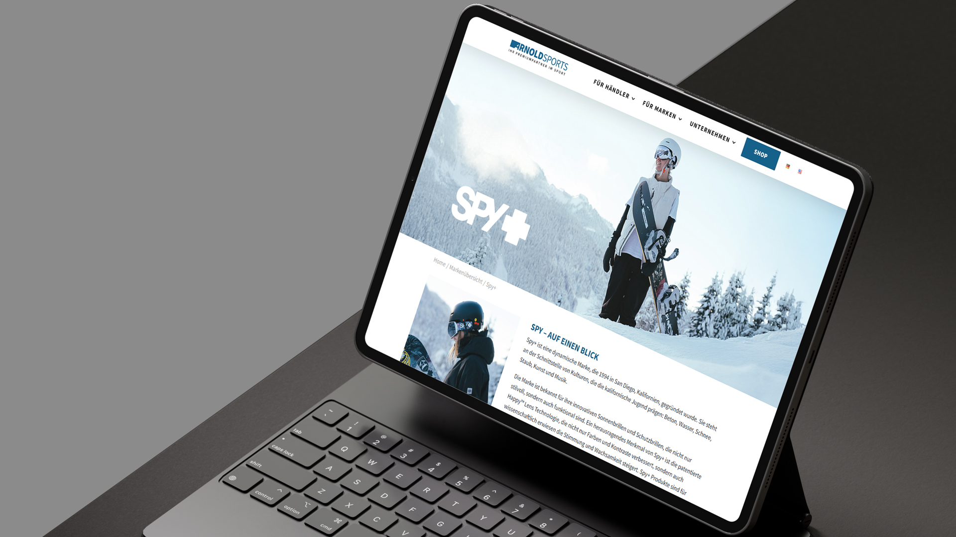 Webansicht auf Laptop