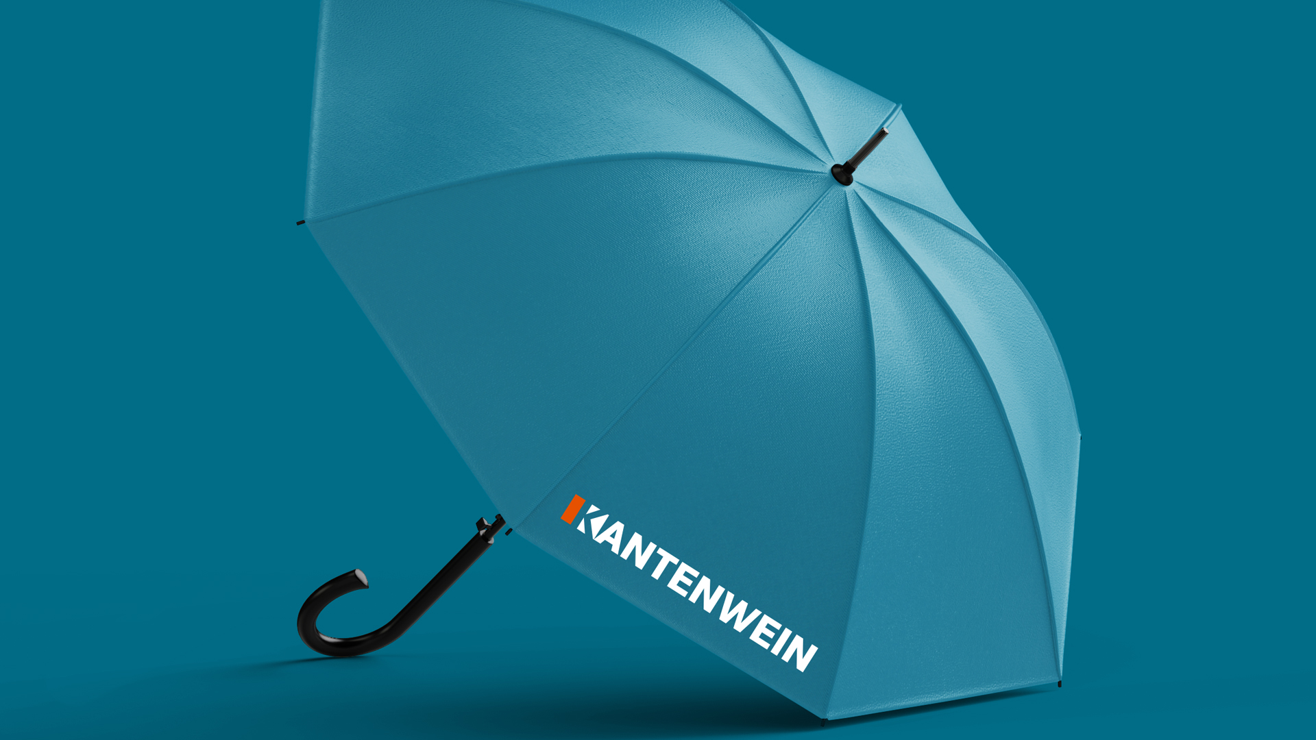 Regenschirm